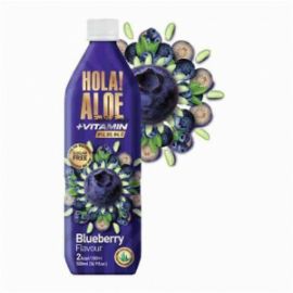 HOLA! ALOE VITAMIN BLUEBERRY-NO SUG-500ML-12TMX