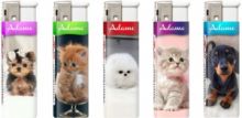 ADAMO ELECTR. 188906 CUTE ANIMALS- 50TMX. 