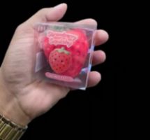 NET-SQUISHY GRAPE & STRAWBERRY 7X7CM - DISPLAY 12TMX.